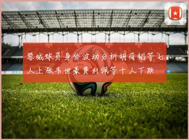 蓉城球员身价波动分析胡荷韬等七人上涨韦世豪费利佩等十人下跌