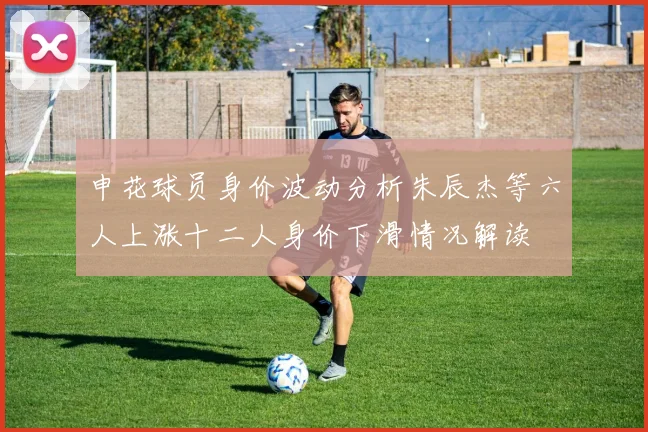 申花球员身价波动分析朱辰杰等六人上涨十二人身价下滑情况解读
