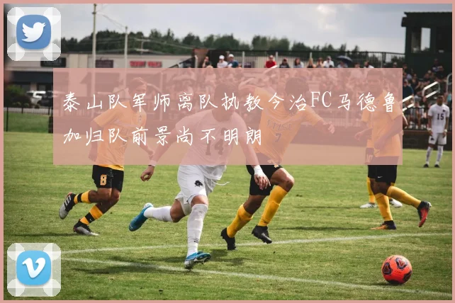 泰山队军师离队执教今治FC马德鲁加归队前景尚不明朗